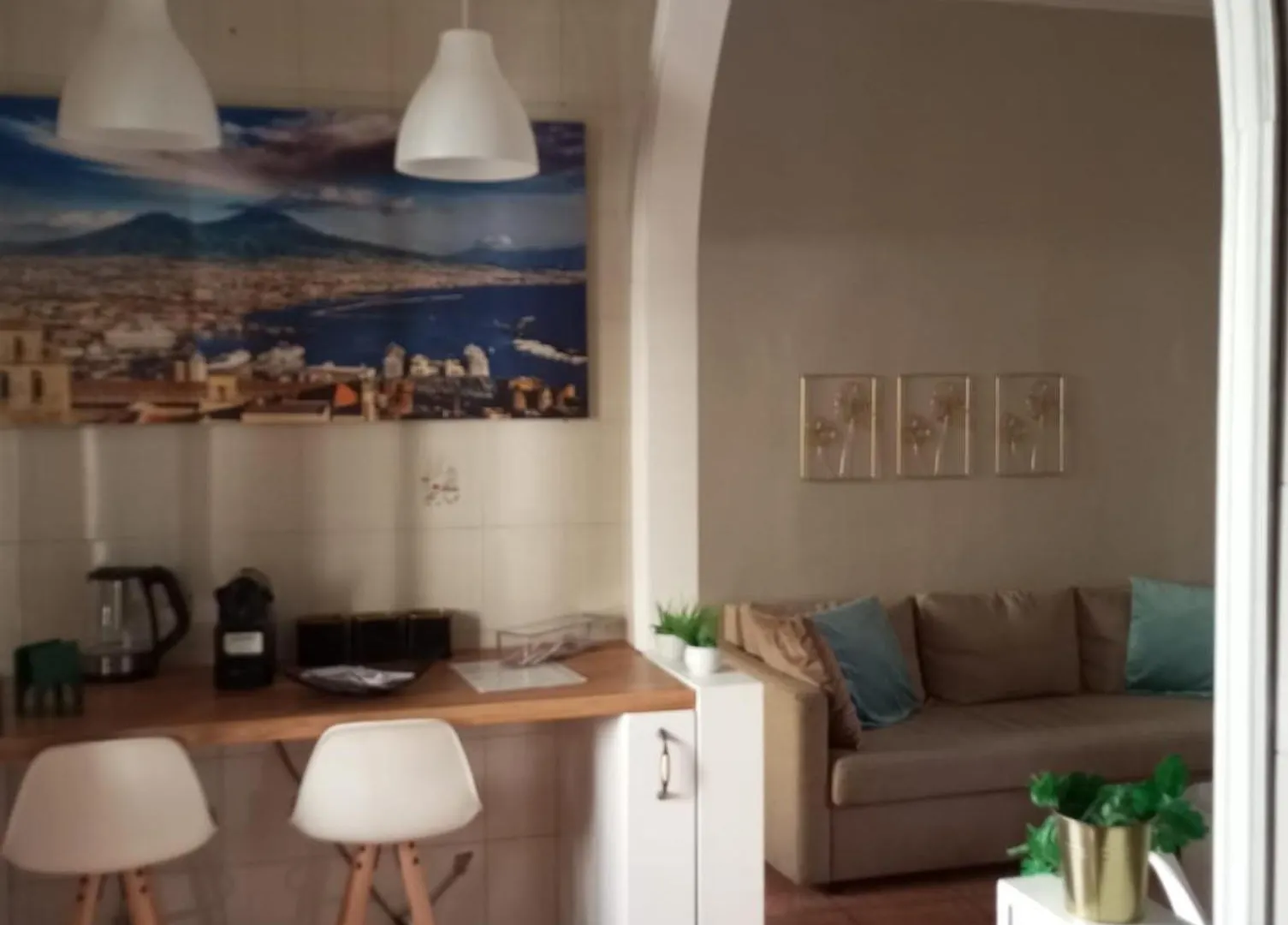 Casa Angelica contacts